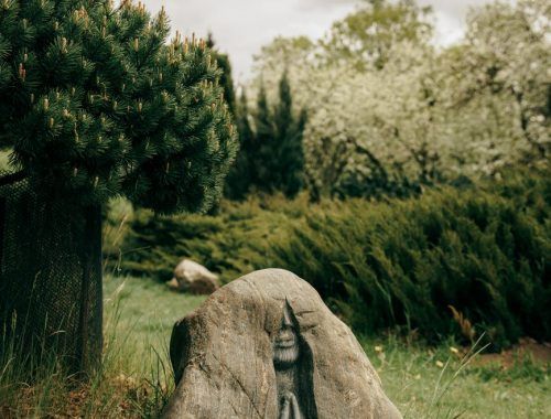 gray rock on the green grass field