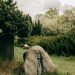 gray rock on the green grass field