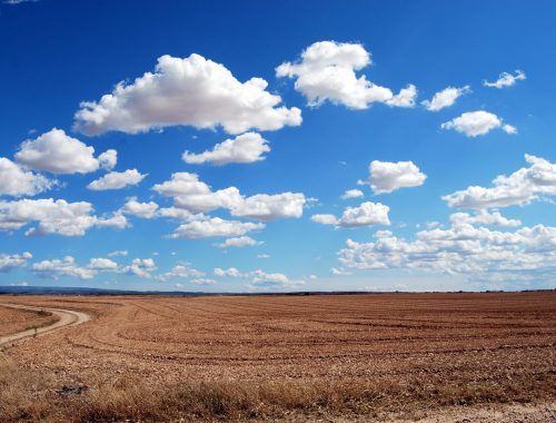 brown field and blue sky