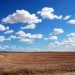 brown field and blue sky