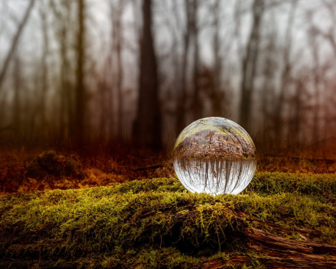 glass ball placed on mossy ground in forest