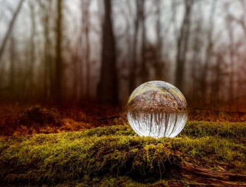 glass ball placed on mossy ground in forest