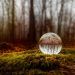 glass ball placed on mossy ground in forest