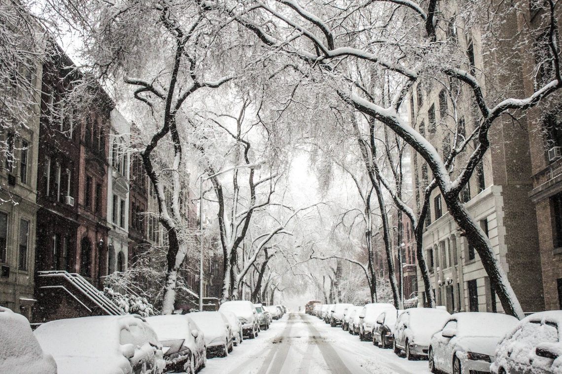trees and cars covered by snow