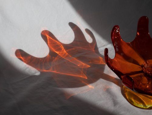 shadow of unusual red transparent vase