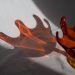 shadow of unusual red transparent vase
