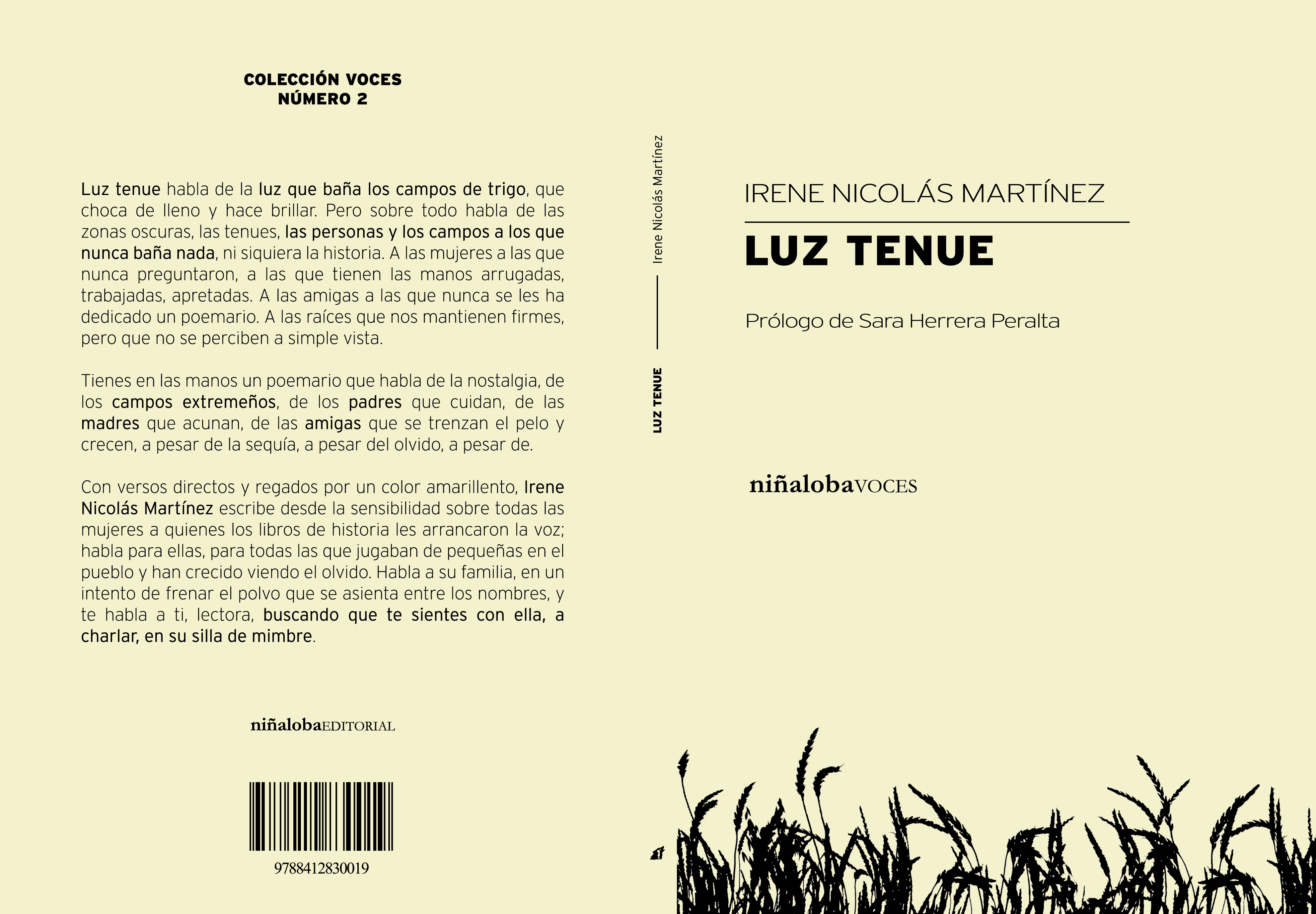Luz tenue - Imagen 2